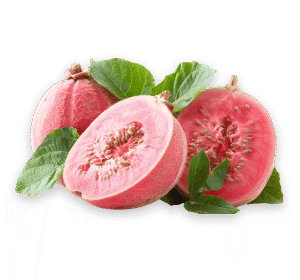 guava